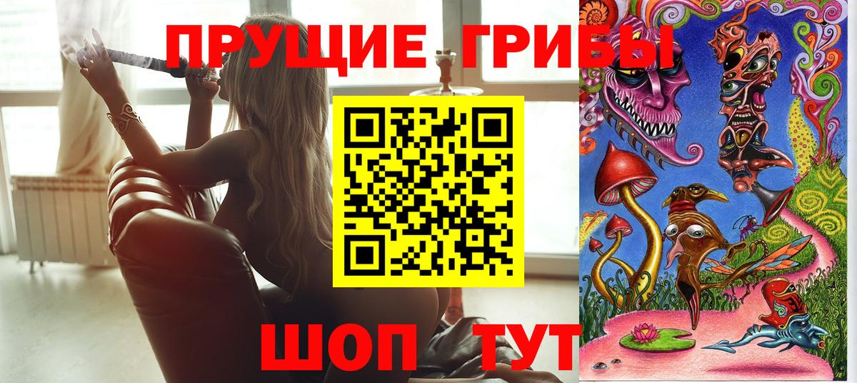 Кольчугино  Галлюциногенные грибы Cubensis  Вход с VPN 