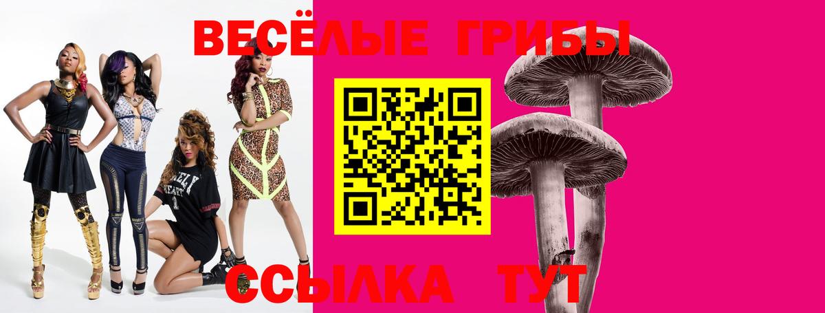 Псилоцибиновые грибы MAGIC MUSHROOMS Кольчугино